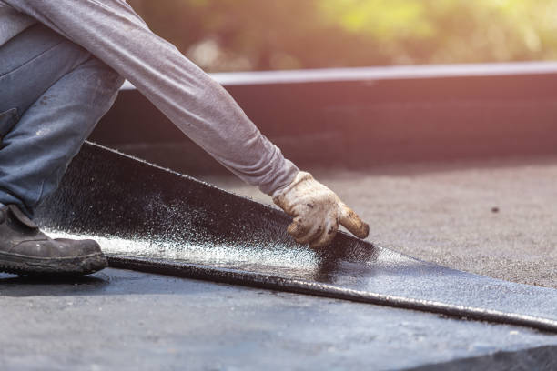 Professional Interior Drainage System technician working in Fredericksburg, VA